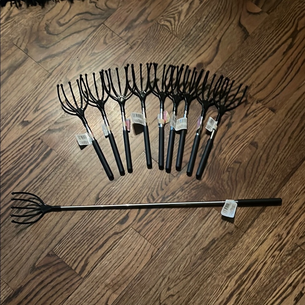 Black Back Scatchers